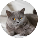 Murielle Ft profile picture